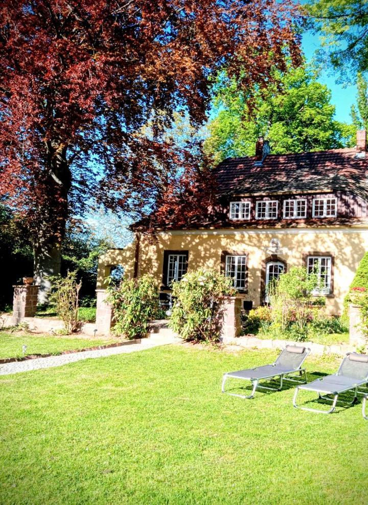 Ferienhaus Dr. Müller Meißen Exterior foto